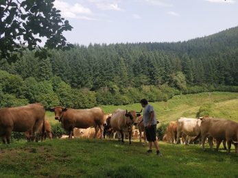 Ferme de Lagrange