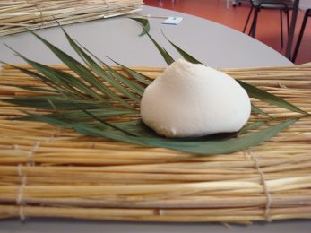 Segalafrom – artisan fromager