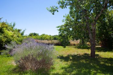 Gite Piquetalen***