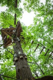 Accrobranche « Agrip Aventure »