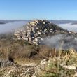 Cordes sur Ciel et Oléiculture (1/2 jour)