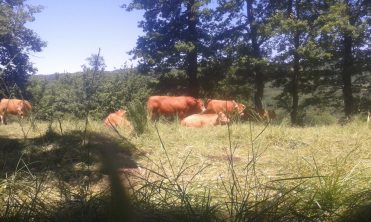 La Ferme des Prats