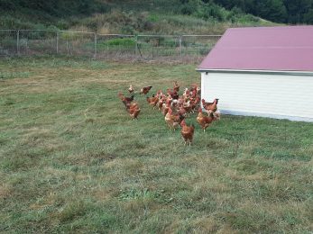 La Ferme des Prats