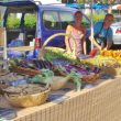 A Fleur de… Graines