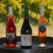 L&rsquo;Enclos des Songes