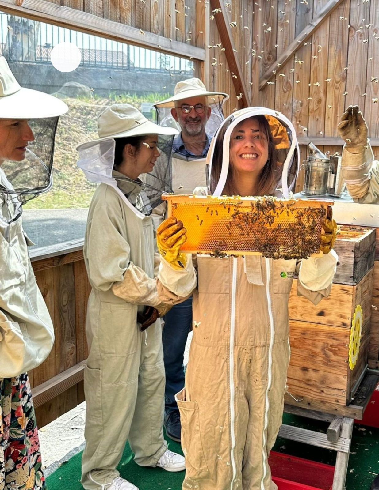 Initiation à l’apiculture
