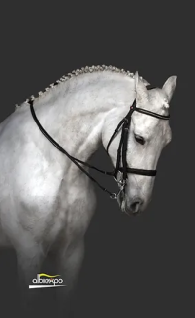 Salon du cheval 2027