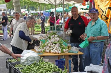 Grand marché du samedi à Lavaur