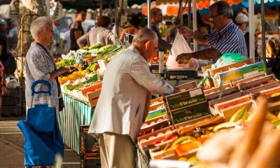 Marché de producteurs à Lavaur