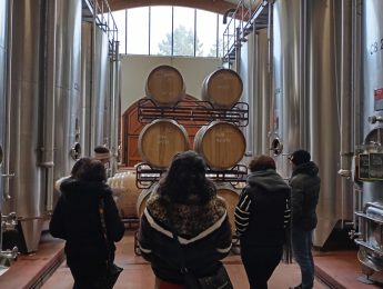 Pass Vigneron au Château Les Vignals