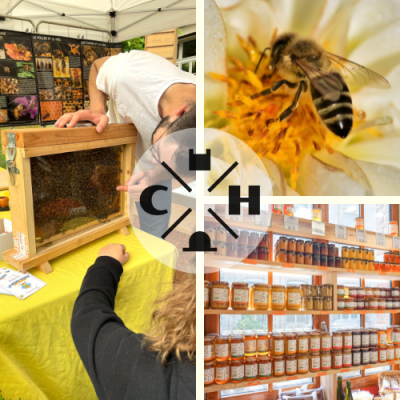 La Fabrique des Abeilles – “Les Instants C&H”