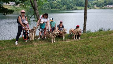 Randonnée cani-marche