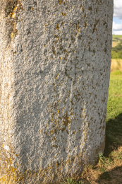 Statue-menhir de la Pierre Plantée (Peyro Levado)