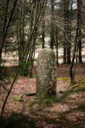 Statue-menhir de Triby