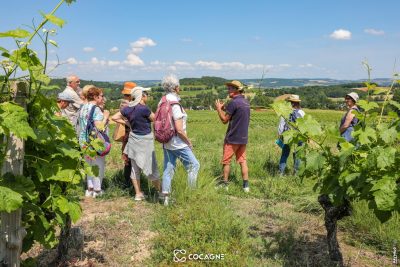 Escapade & brunch vigneron – les Vignes des Garbasses