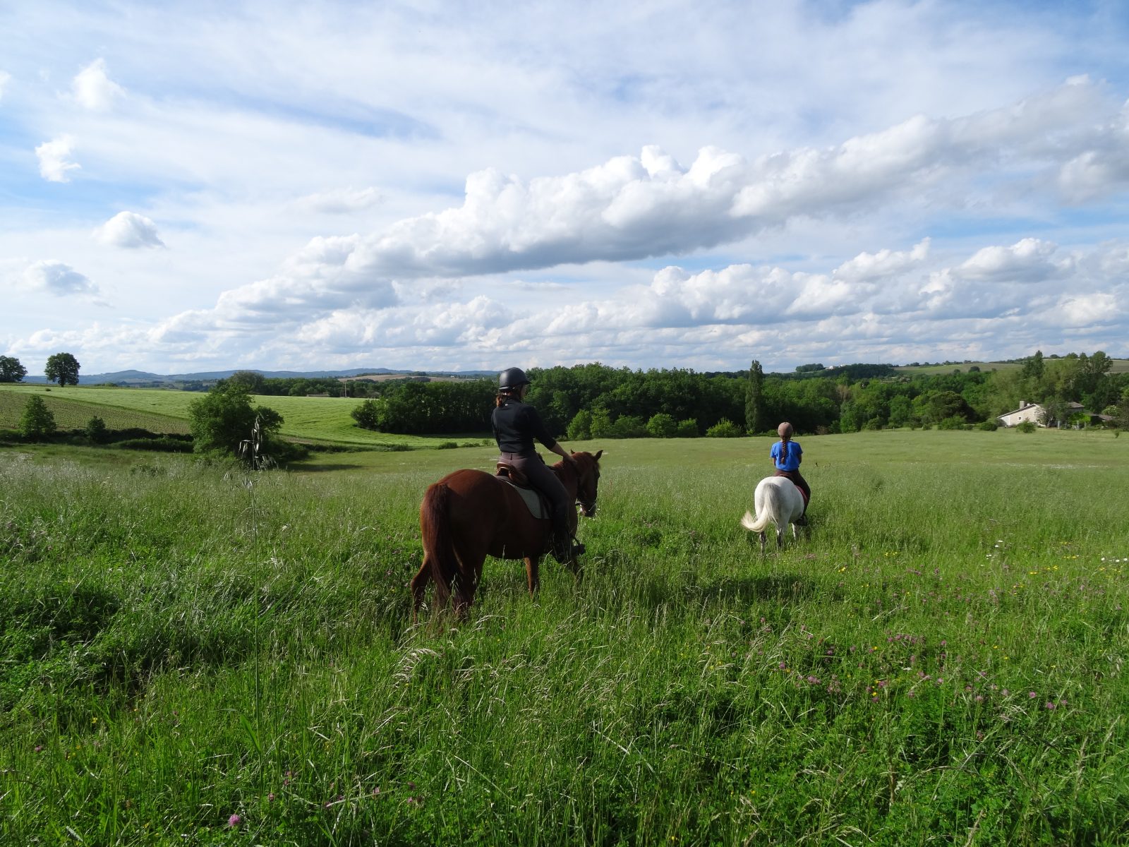 Centre équestre « Un Poney une Histoire »