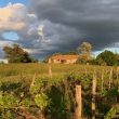 Les vins de Rouyré