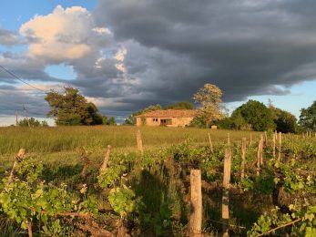 Les vins de Rouyré