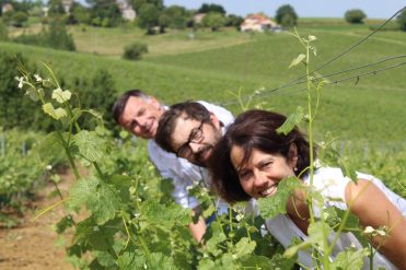 Domaine Puech Roques