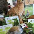 Exposition « Tarn Sauvage »