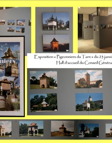 Visite commentée de l’exposition – Les Pigeonniers du Tarn