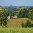 Gayola Germinal – Gîte Bleuet