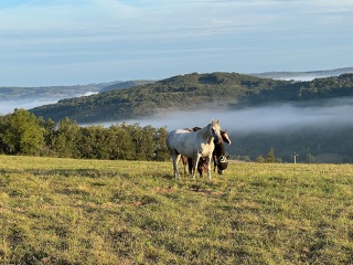 Gîte Les Hauts de Grèzes