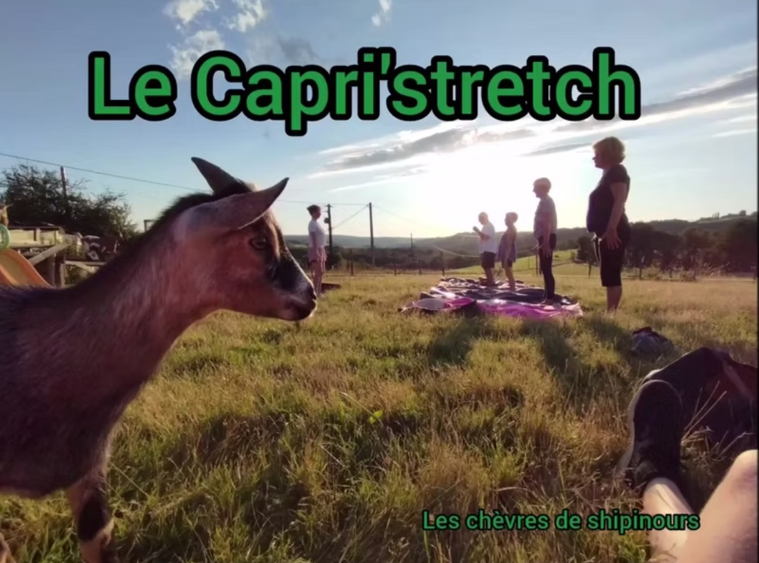 Stretching au milieu des chèvres