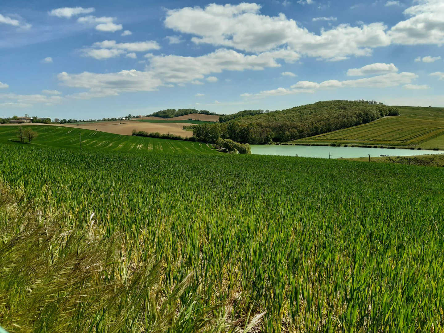 Gîte Les Acacias d&rsquo;En Cassé***