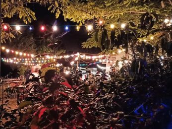 Guinguette La Mondine