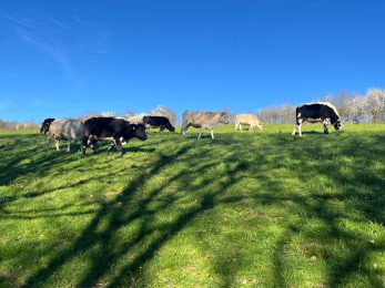 Gaec la Ferme de la Combe