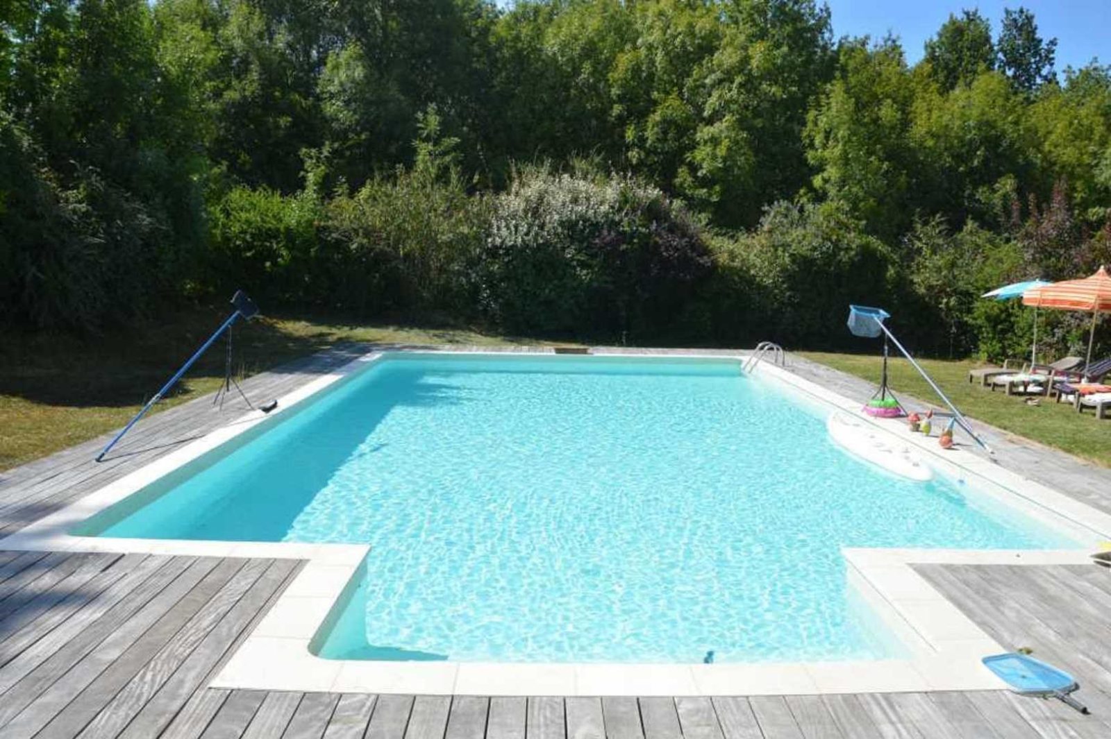 Naturazen 81