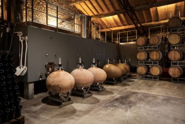 Pass Vigneron au Domaine de Cantalauze