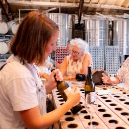 Pass Vigneron au Domaine de Cantalauze