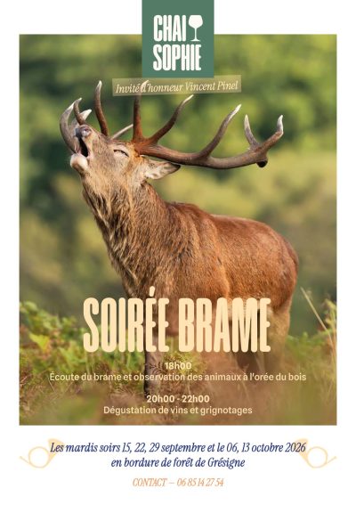 Soirée Brame du cerf et dégustation de vins