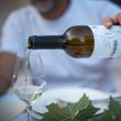 Le Mauzac dans tous ses états : accords vins & fromages au Domaine de Cantalauze