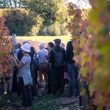 Journée rencontres LPO au domaine Cantalauze
