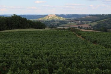 Château Bourguet
