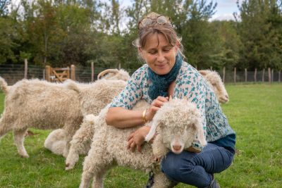 En coulisse , à la découverte du Mohair  » Secret de douceur »