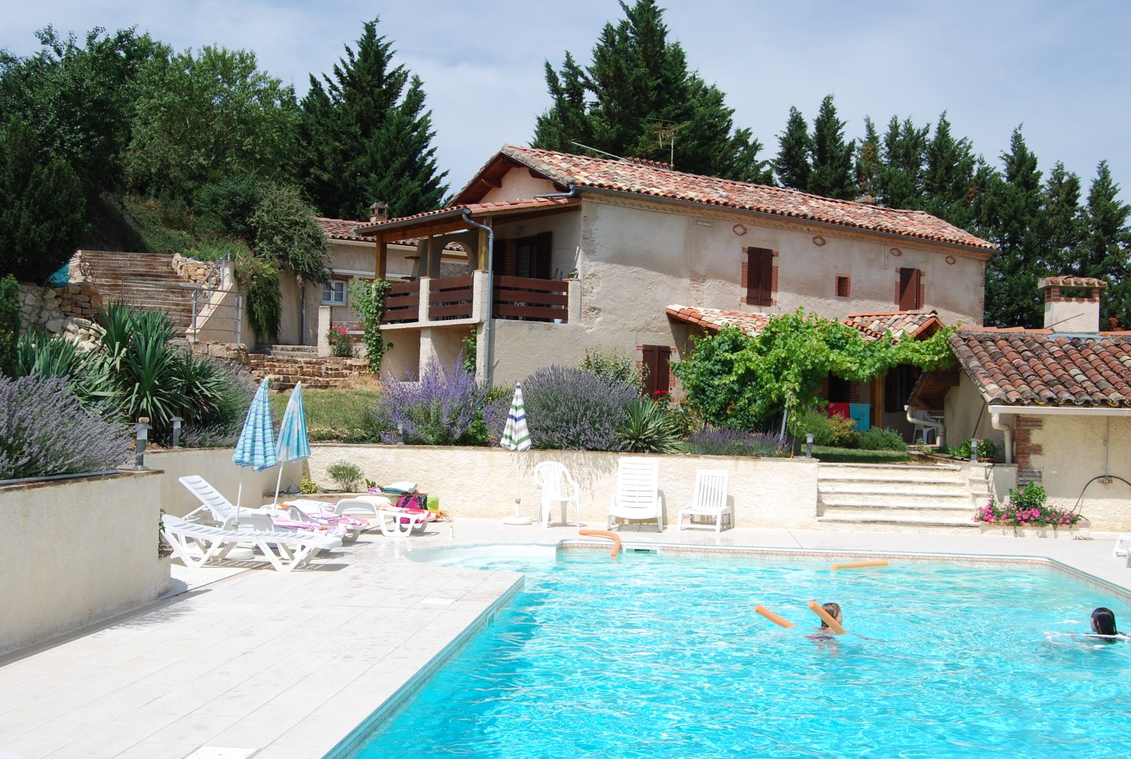Lou campestre