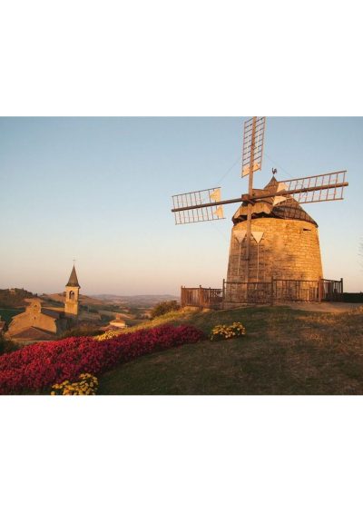 Visite commentée moulin à vent