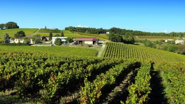 Domaine Vayssette