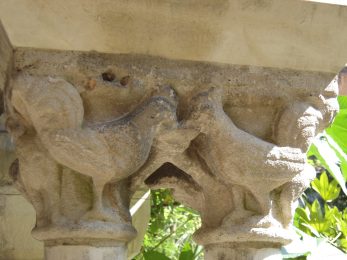 Le Cloître Saint-Salvi
