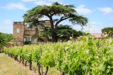 Pass Vigneron au Château de Terride