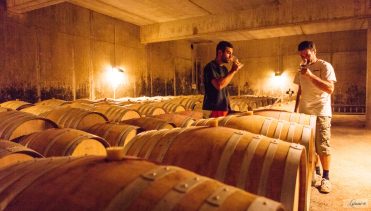 Pass Vigneron au Domaine de Labarthe