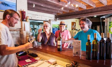 Pass Vigneron au Domaine Laubarel