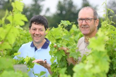 Pass Vigneron au Domaine Rotier