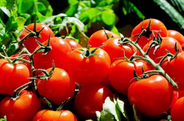 Marché de producteur – Sénouillac