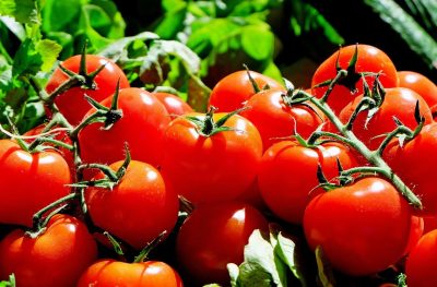 Marché de producteur – Sénouillac