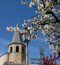 Lacapelle-Ségalar